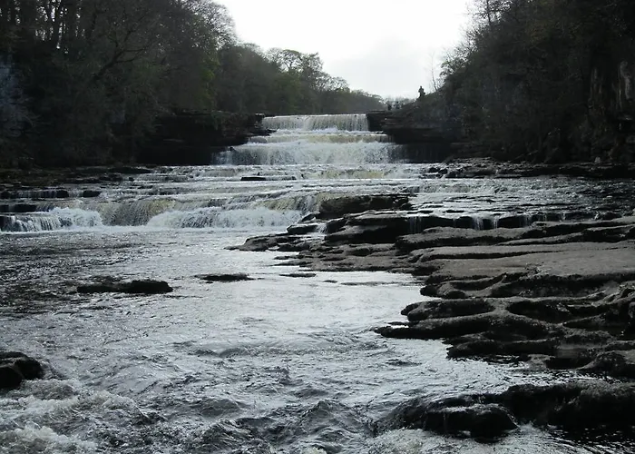 度假居 Oaklodge House